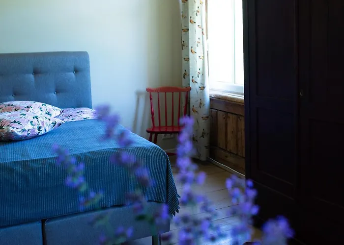 Livi Avat Apartman *